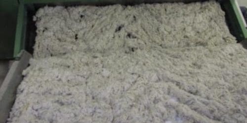 Peak wool grower body WoolProducers Australia has described the Albanese Government’s budget denial of $2 million to establish a trade policy program as another “kick in the teeth” for Australian growers

Read for free 👉 loom.ly/CwNWJOw