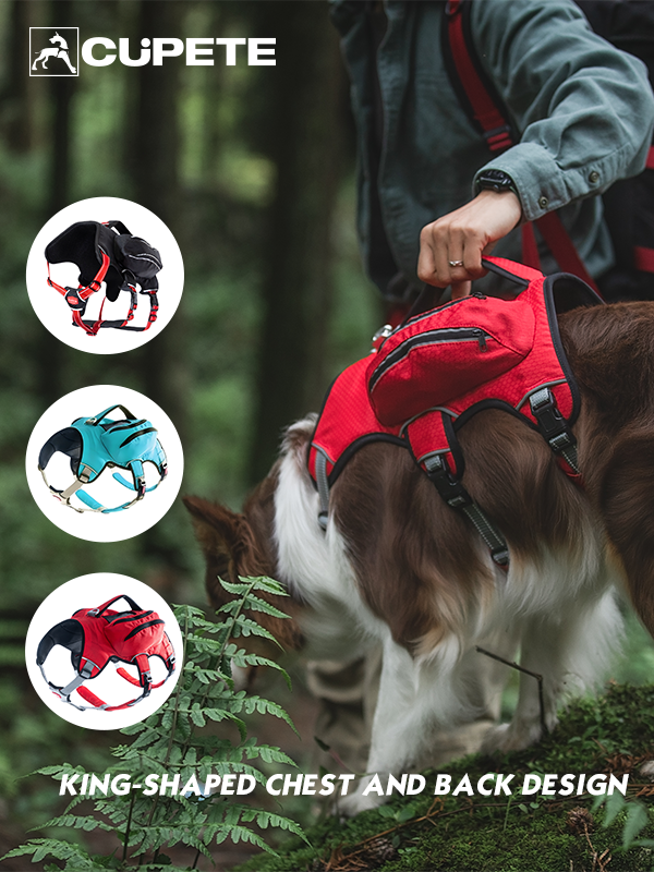 🌲Ready to bring you pup for explore spring? 💐
🐕‍🦺Zippokt™ Dog Harness
√ Professional outdoor waterproof material
√ Dual pocket design
√ King-shaped chest and back design
2024 New Arrival ----- shop now➤➤
cupete.com/collections/ha…