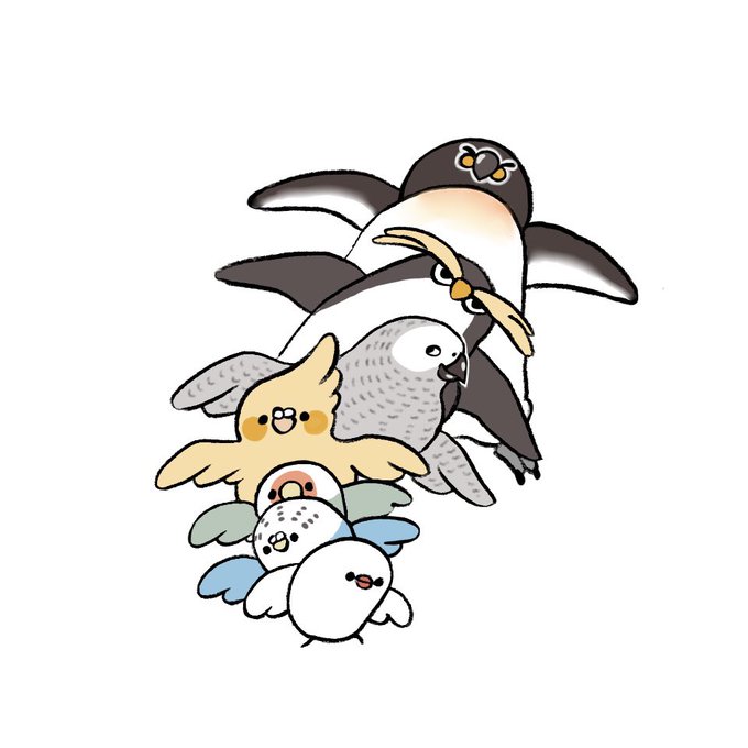 「penguin white background」 illustration images(Latest)