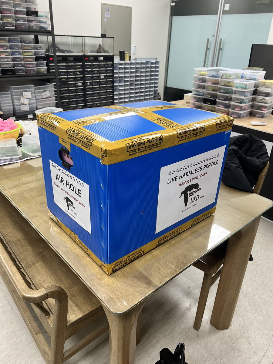 devilkinggecko's tweet photo. 私たちは毎月輸出し
正直に取引します
すでに日本の有名企業と取引中👍👍 https://t.co/S5BJbzTdLA