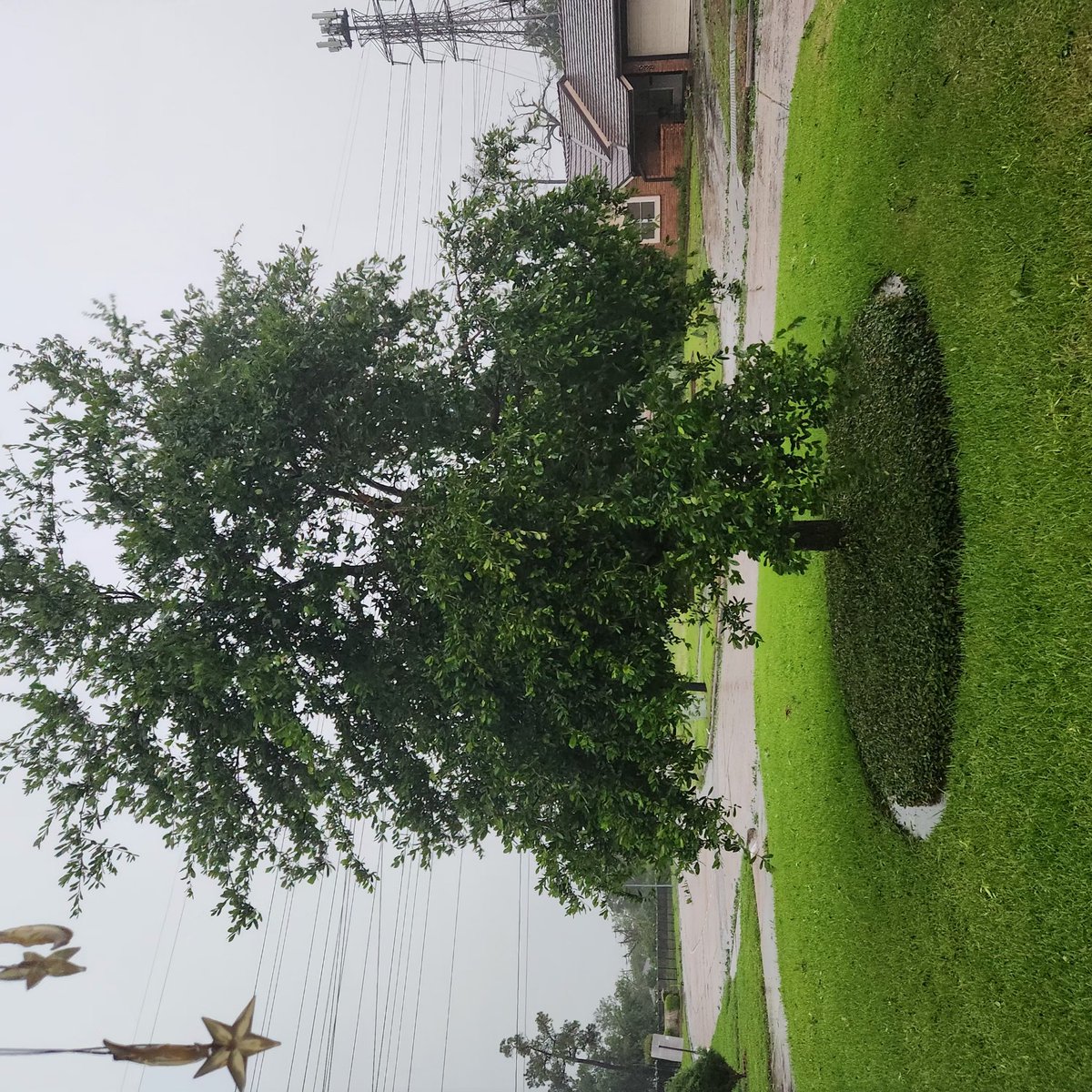 GeminiLover30's tweet image. WTF just happened?
#Houston #HoustonTornado