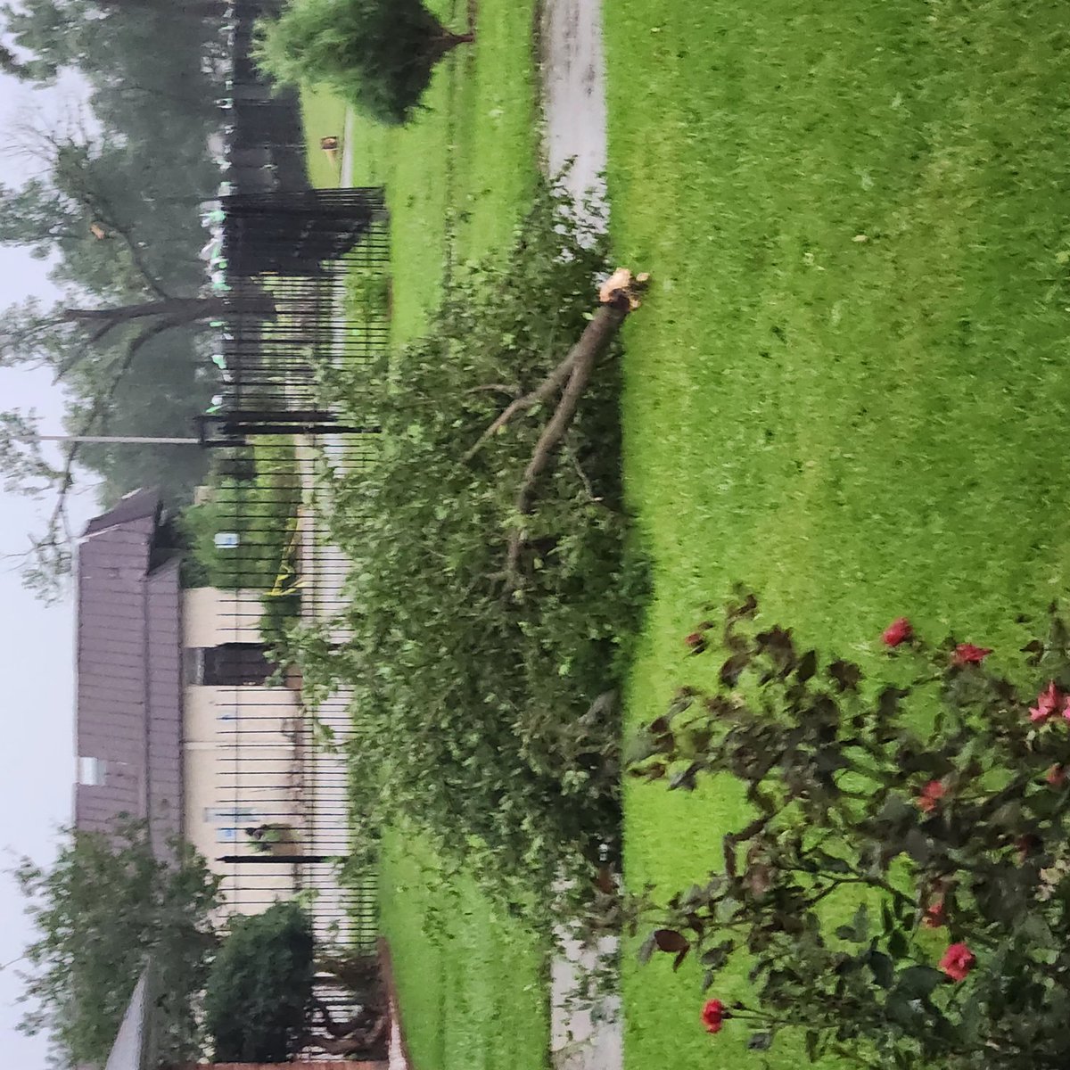 GeminiLover30's tweet image. WTF just happened?
#Houston #HoustonTornado