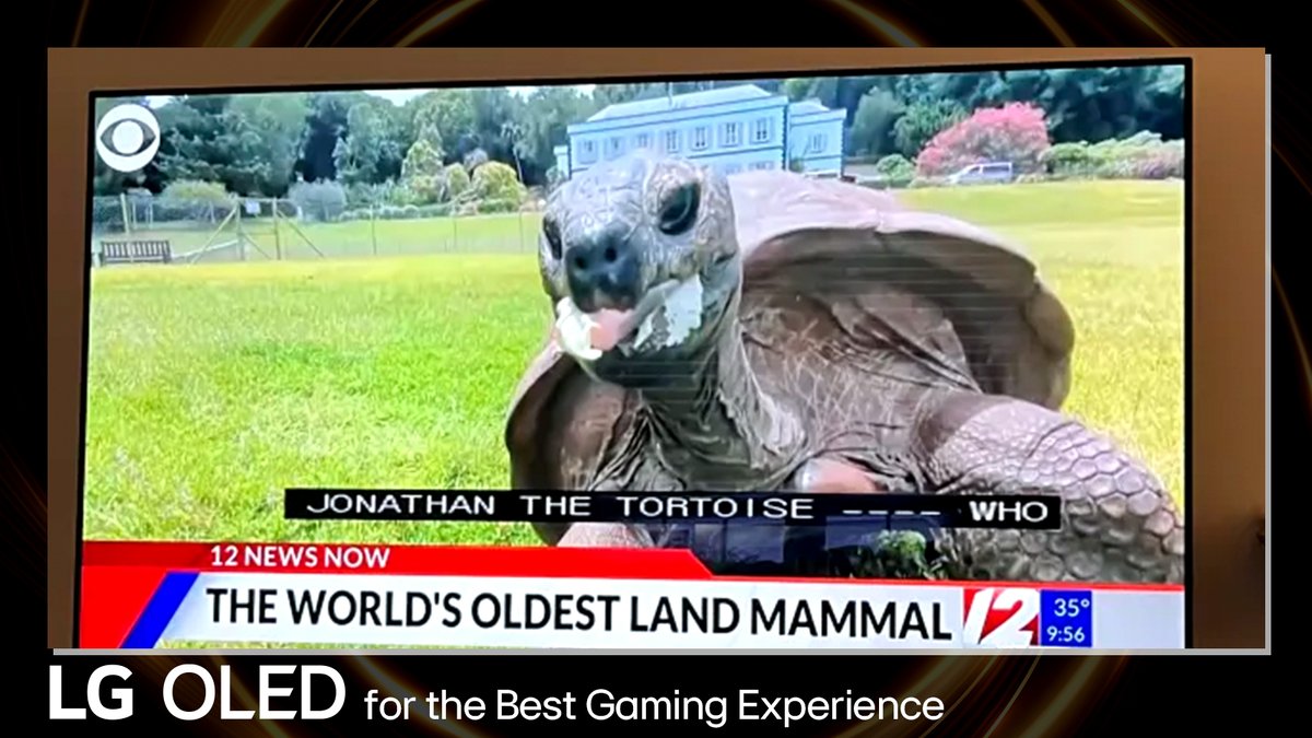 LG OLED Gaming tweet media