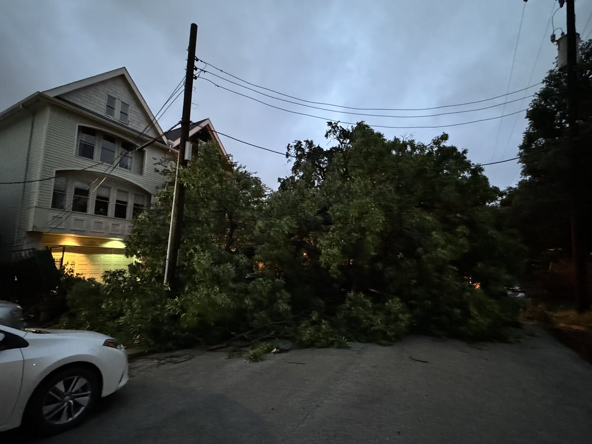 Fifty foot pecan tree came down in our street. Luckily no damage to people, homes or cars. #HoustonStorm.