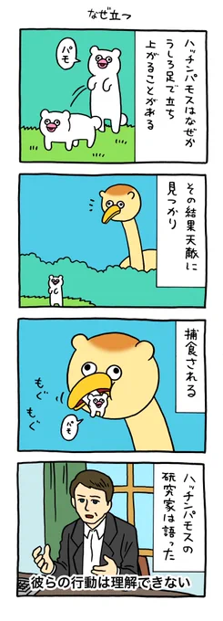 絶滅寸前の動物ハッチンパモス「なぜ立つ」 qrais.blog.jp/archives/28062…