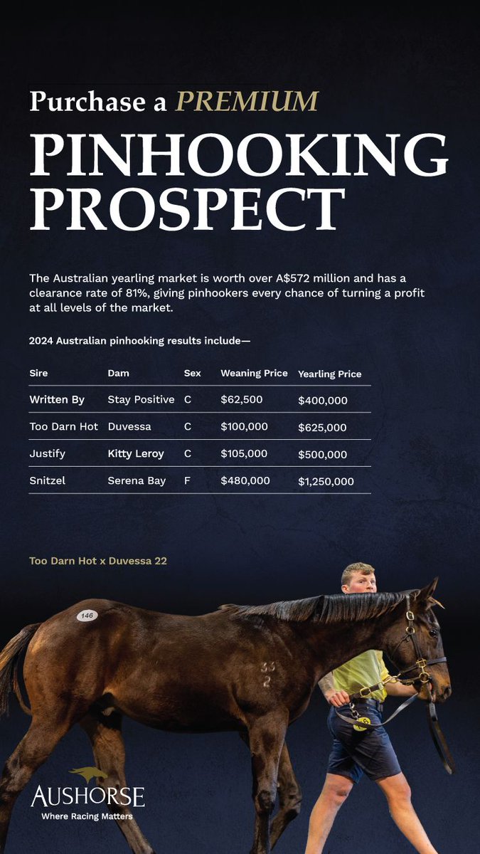 Purchase a Premium Pinhooking Prospect The Australian yearling market is worth over A $572 million and has a clearance rate of 81%, giving pinhookers every chance of turning a profit at all levels of the market. 2024 Australian pinhooking results include: 🐎 Written By 🐎 Too