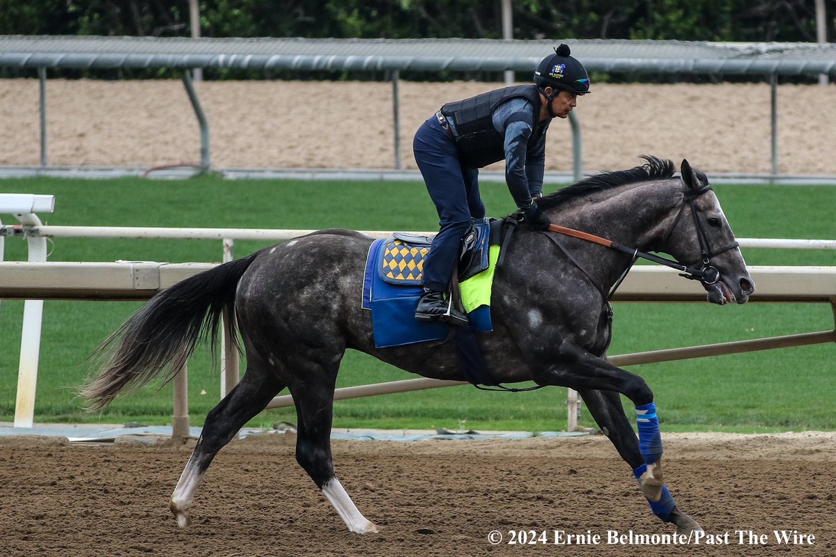 Reincarnate galloping this morning.