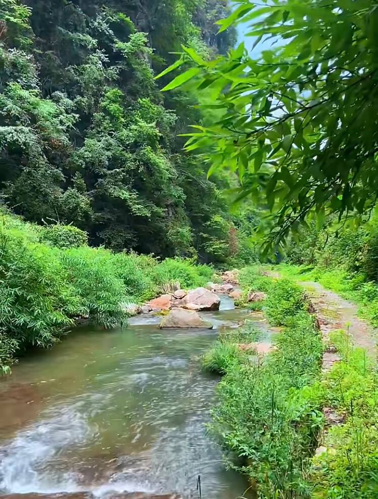 TrerlorethtEoR's tweet image. 山水の美、自然の治、心は穏やかで、憂愁は尽きます。