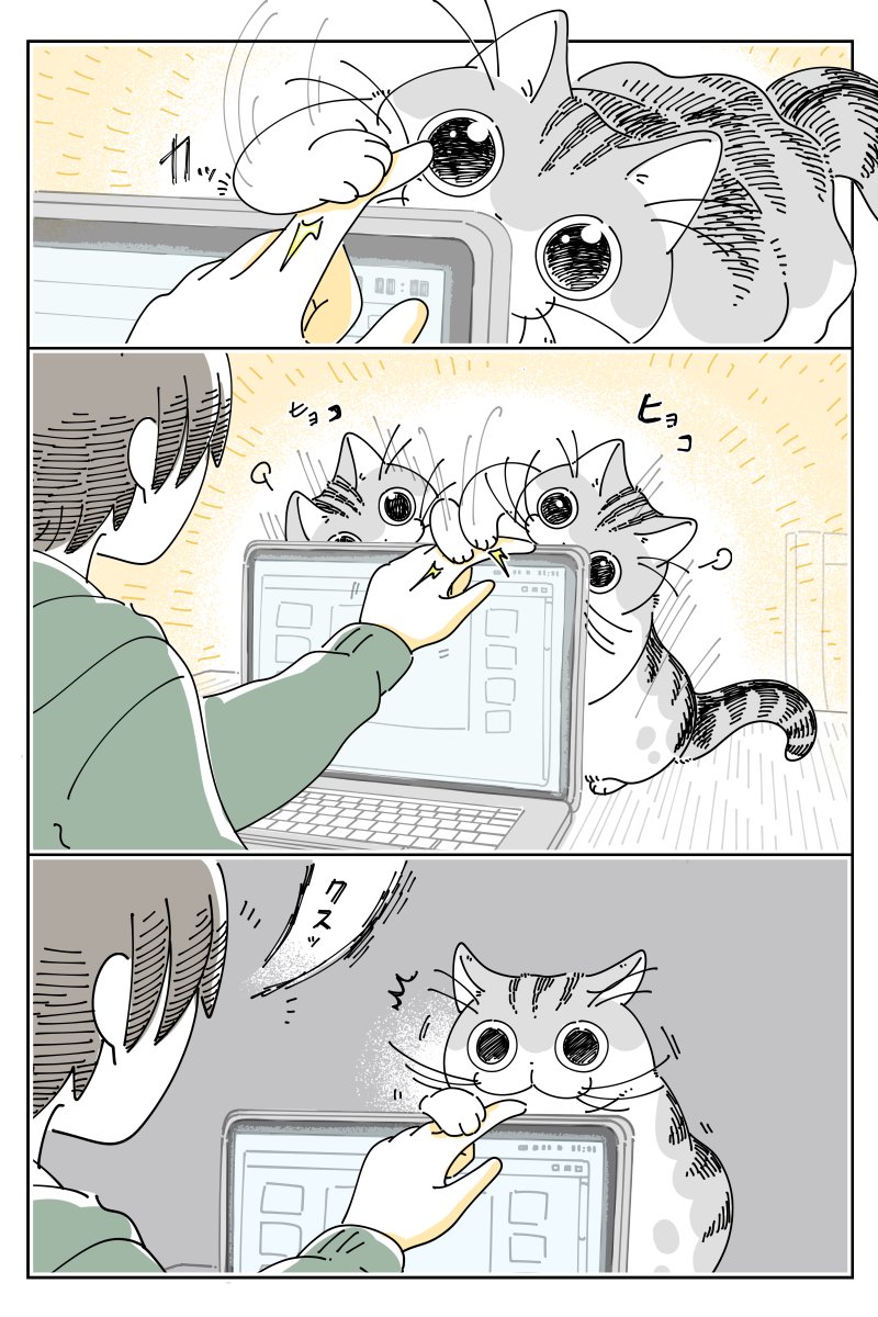 面白そうな物の正体 
