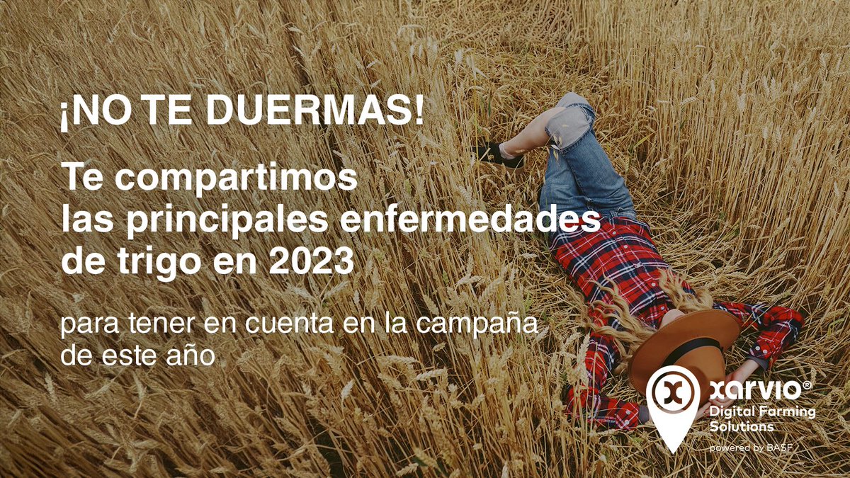 xarvioAR's tweet photo. Este año controla las plagas de tu lote.

Conocé Spray Timer, el sistema de pronóstico de riesgos de enfermedades de xarvio® 

¡Tecnología en tu campo!

Sumate a xarvio® FIELD MANAGER by @basfagro_arg

Más info: https://t.co/0HUwVyuMZd

#trigo #agtech #agriculturaprecisión https://t.co/s6VG1F9KYC