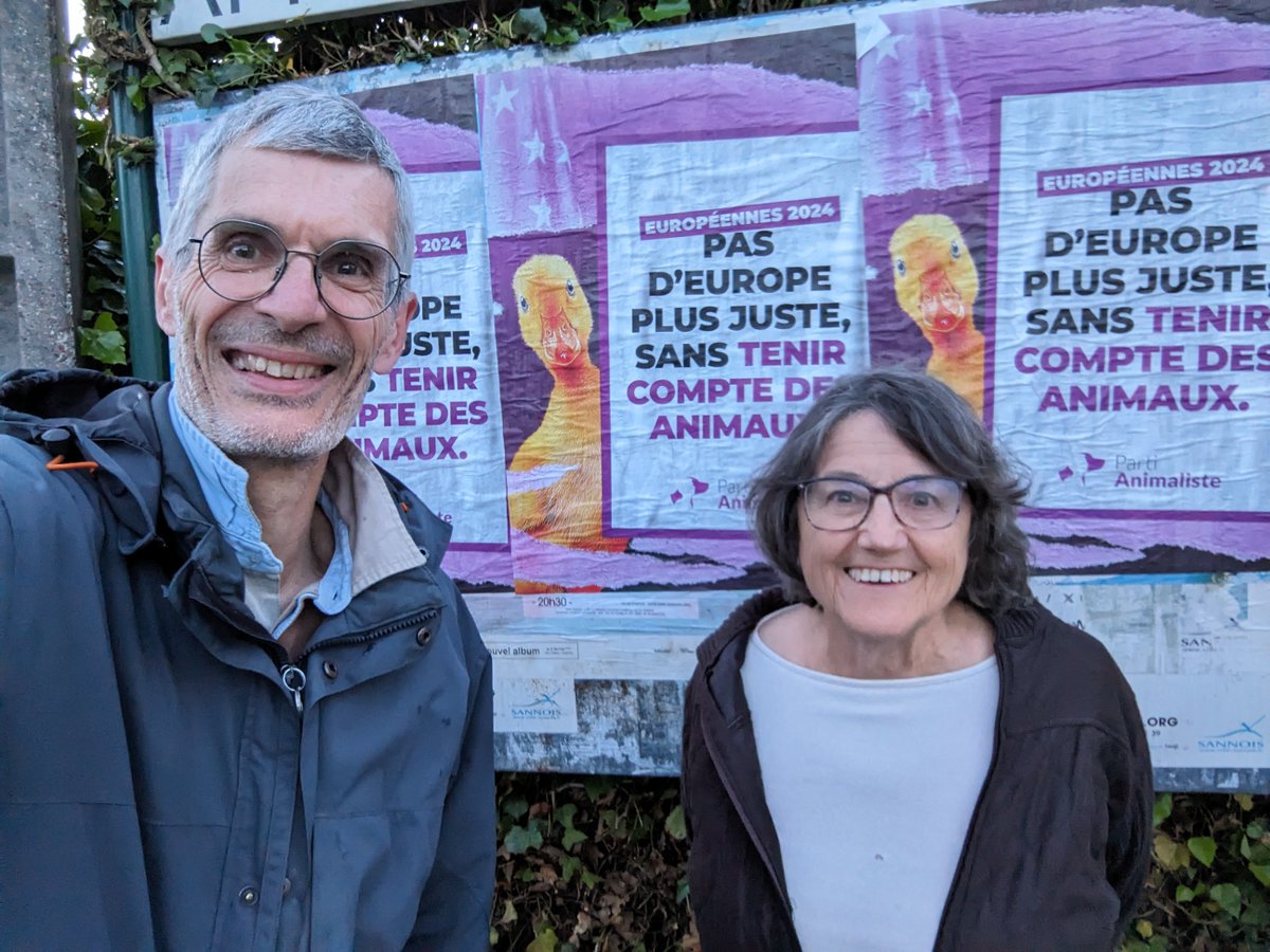 Saturnin l'actuelle mascotte du @Partianimaliste continue de s'afficher sur les panneaux du Val d'Oise et prend même ses aises
Petite séance de collage ce soir avant de partir pour Bordeaux pour notre 3ème meeting de campagne
#Européennes2024
#OnRecolteCeQueLonVote