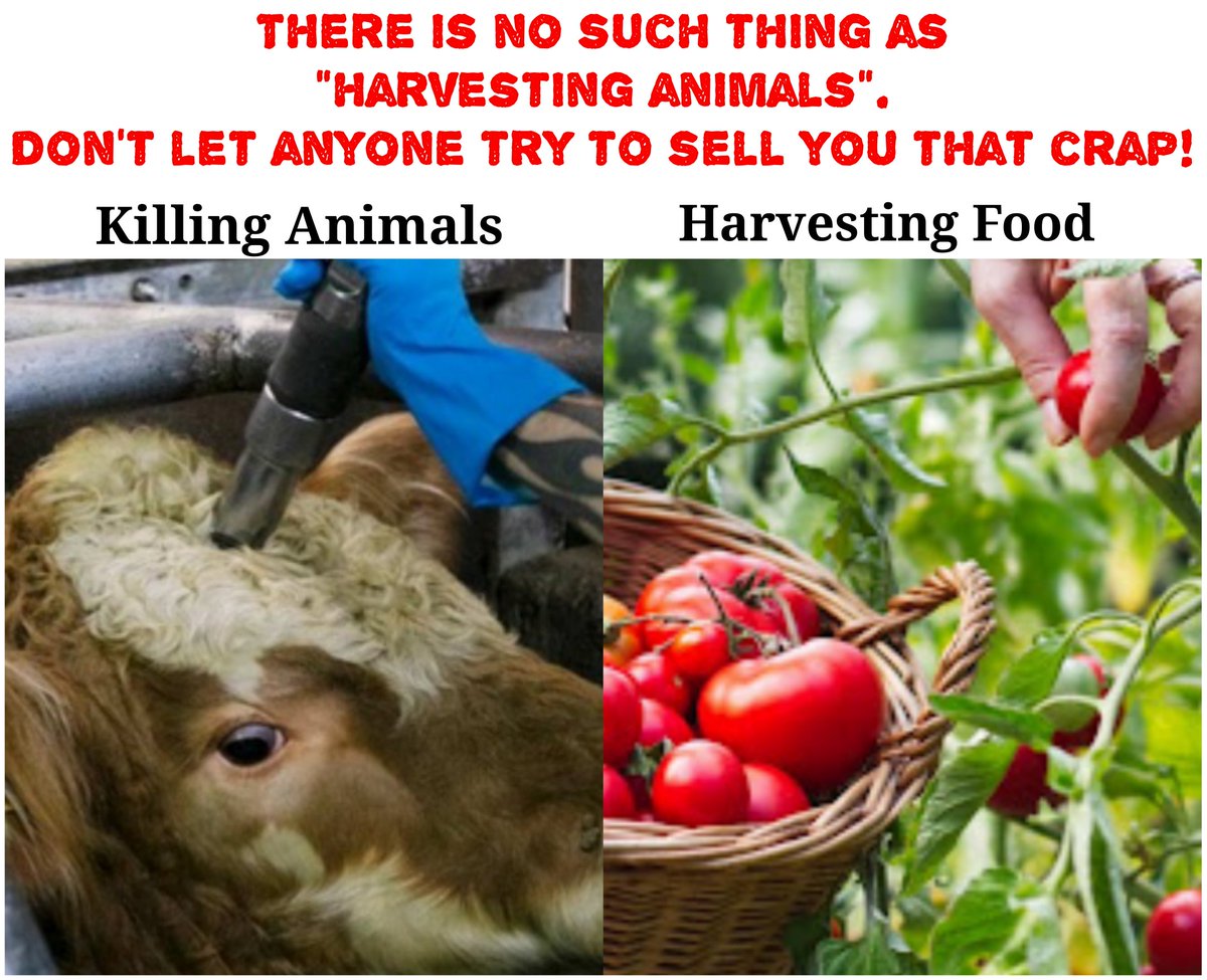 269 Justice tweet media