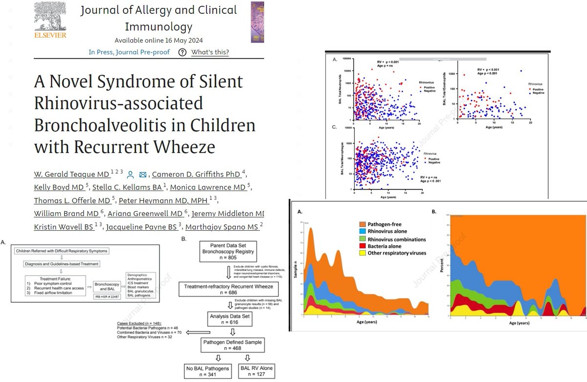 novel syndrome of silent granulocytic bronchoalveolitis associated with lung 🫁🦠RV infection in children with... ⬆️systemic markers of inflammation *⃣ We speculate dysregulated mucosal innate antiviral immunity is a responsible mechanism. jacionline.org/article/S0091-… #immunology