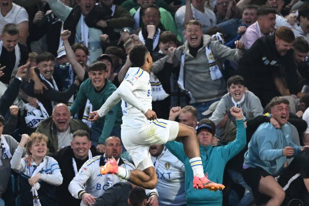 What a picture #lufc