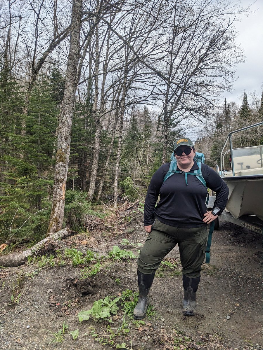 Rachel C. tweet media