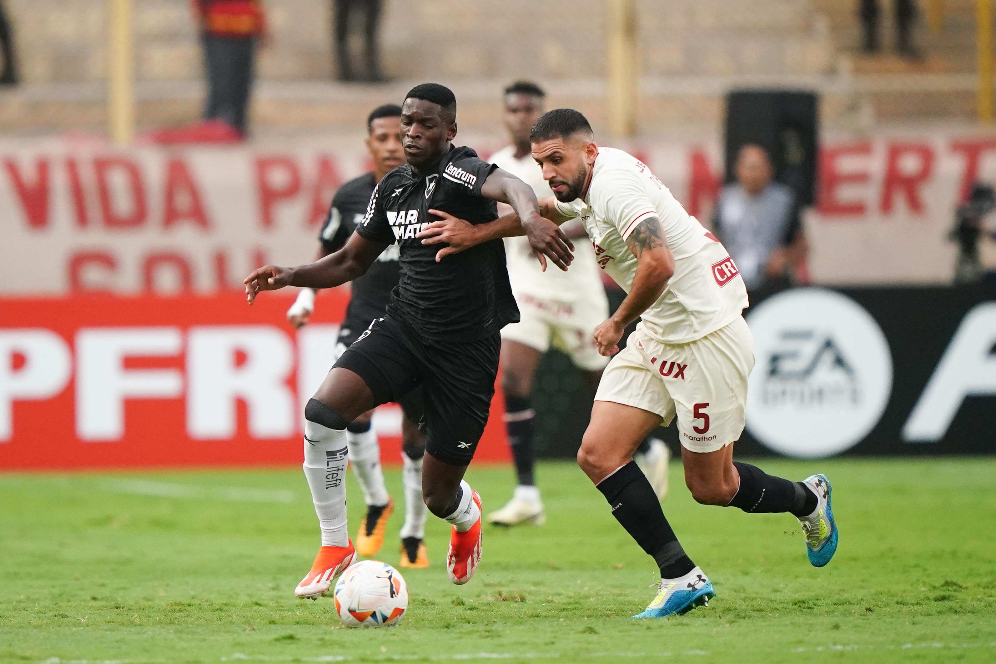 Universitario perdió 1 a 0 ante Botafogo (Foto: Conmebol)