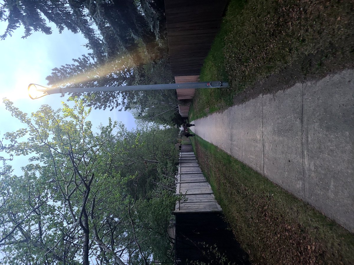 xplicitgem's tweet image. Evening walks ♡ &amp;gt;&amp;gt;