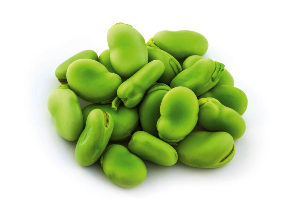 Fava wins with new Protein Industries Canada project. manitobacooperator.ca/news-opinion/n…