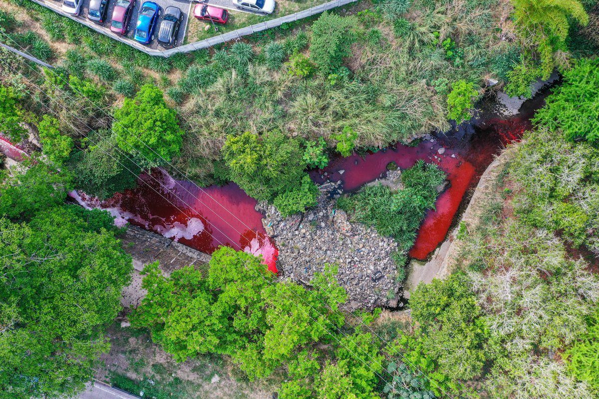 Pido a @nayibbukele @FGR_SV @FiscalGeneralSV llevar a la cárcel a estos contaminadores del rio PIRO ya basta de ser permisivos con tanto empresario que se están terminando nuestros recursos hídricos. Es hora de poner un alto. NO MAS CONTAMINACIÓN.