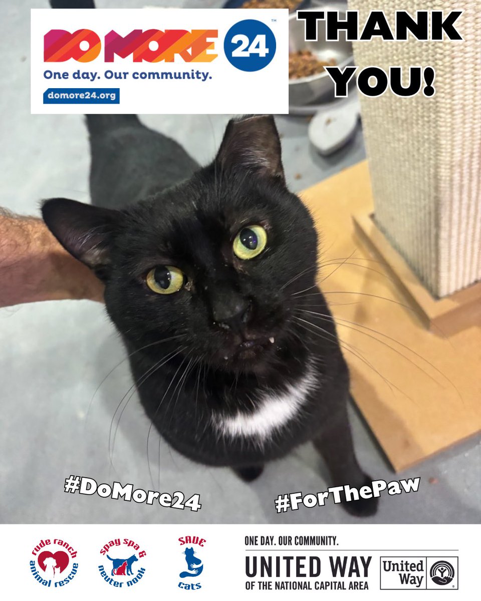 RudeRanchRescue's tweet photo. Just wanted to say how grateful we are to everyone who donated or spread the word about our #DoMore24 fundraiser powered by @UWNCA supporting our lifesaving programs for pets in need. We couldn’t do it without you. Thank you! #ThankfulThursday https://t.co/VmqTxJJlWg