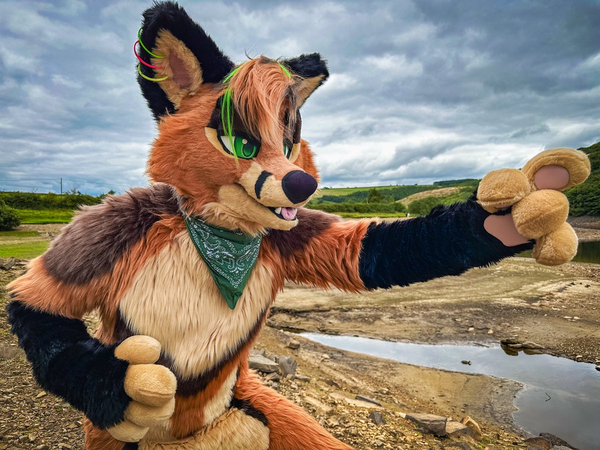 You! Don't move! :D I'm coming in for a hug! 🦊💥🤗

Happy #FursuitFriday folks! #CFz24 just around the corner, who am I gonna pounce on there?! :D