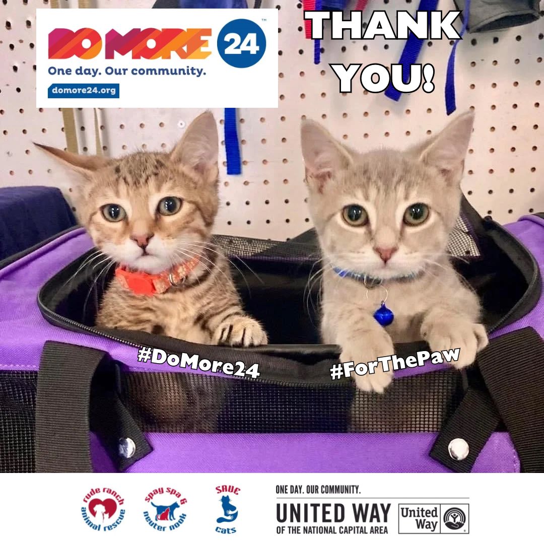 Just wanted to say how grateful we are to everyone who donated or spread the word about our #DoMore24 fundraiser powered by @UWNCA supporting our lifesaving programs for pets in need. We couldn’t do it without you. Thank you! #ThankfulThursday