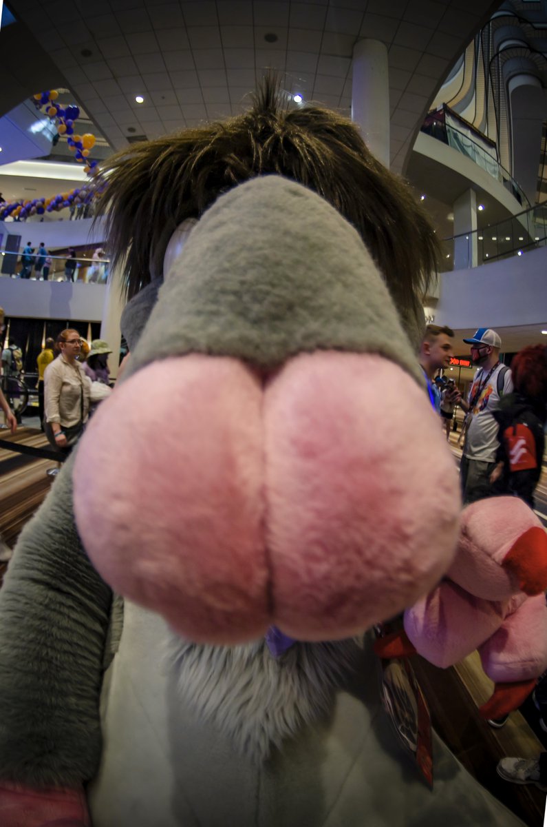 10art1 (@real10art1) on Twitter photo Some of my favorite pictures I took at FWA:
<a href="/BirbsWings/">Birds 🇨🇦</a> cutest snoot
<a href="/thelyanscott/">Big Top Chomps 🔜 FD!</a> least threatening predator
winchester- most rootin AND most shootin
<a href="/GrendelRat/">The Grim Tales of Grendel🐀🎈🎃</a> smells funny Some of my favorite pictures I took at FWA:
<a href="/BirbsWings/">Birds 🇨🇦</a> cutest snoot
<a href="/thelyanscott/">Big Top Chomps 🔜 FD!</a> least threatening predator
winchester- most rootin AND most shootin
<a href="/GrendelRat/">The Grim Tales of Grendel🐀🎈🎃</a> smells funny