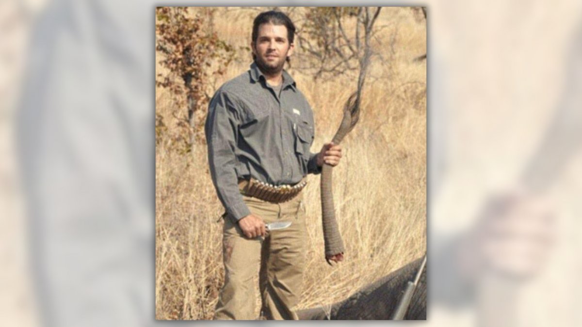 Yes, pictures of Donald Trump Jr. holding a severed elephant's tail appear real. snopes.com/fact-check/don…