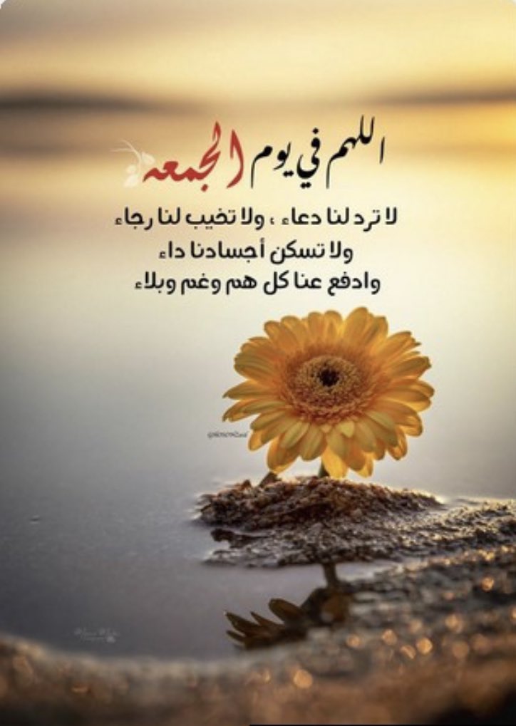 JSharekh_8's tweet photo. #دعاء #جود_الشارخ https://t.co/kmVH02Gu7o