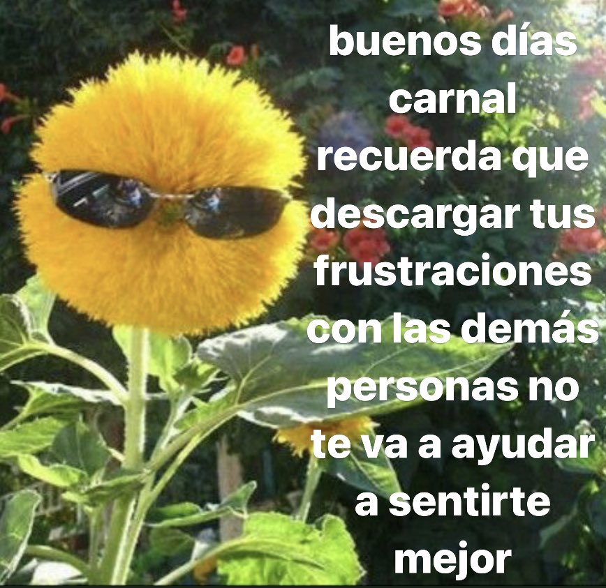 ta_xallag's tweet photo. @amiamendez https://t.co/mv81lsGUek