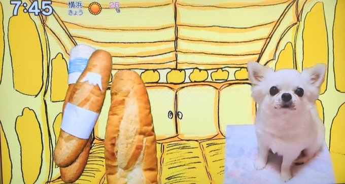 「baguette bread」 illustration images(Latest)