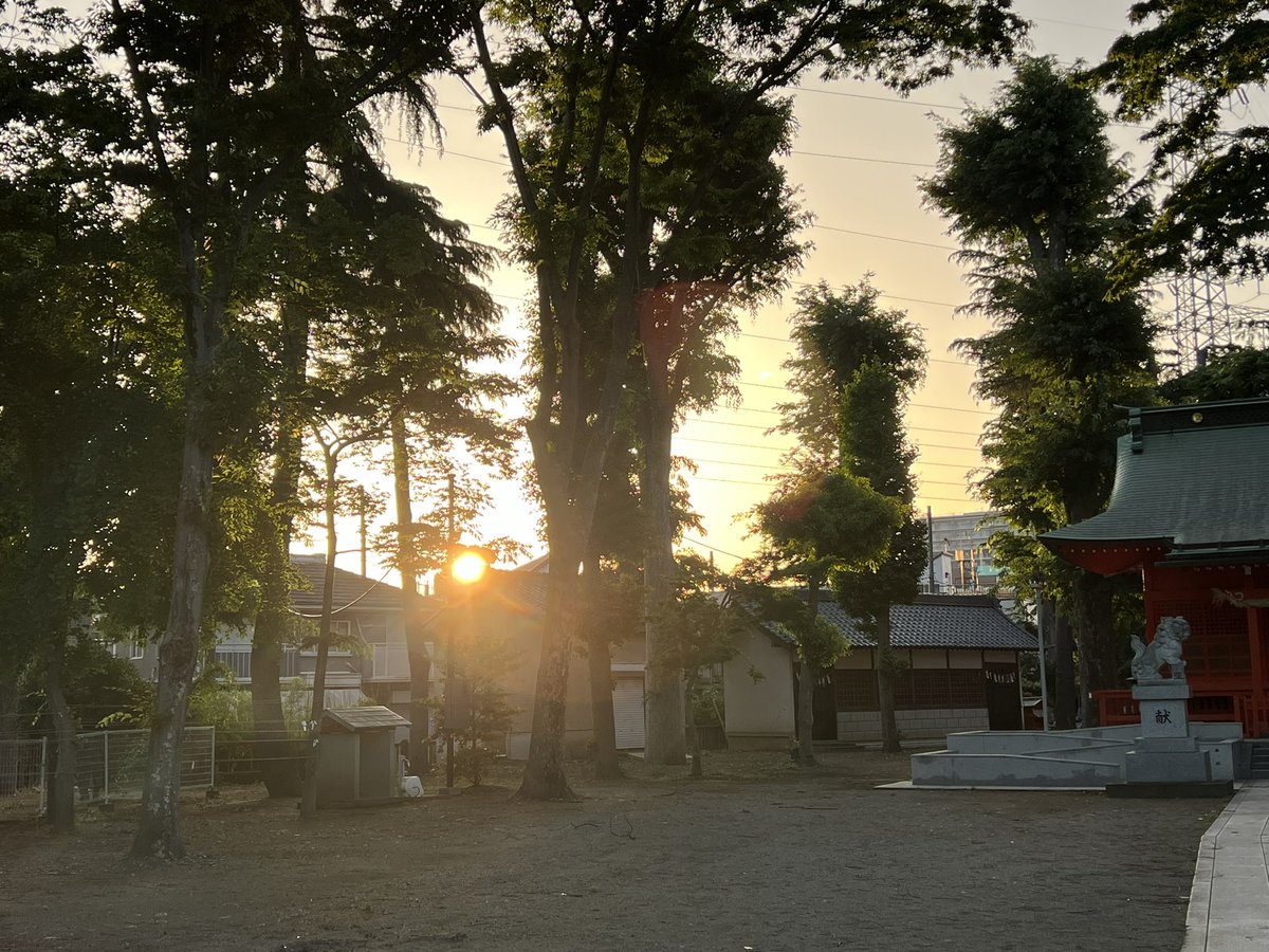 朝の聖蹟桜ヶ丘　小野神社　#小野神社　#聖蹟桜ヶ丘