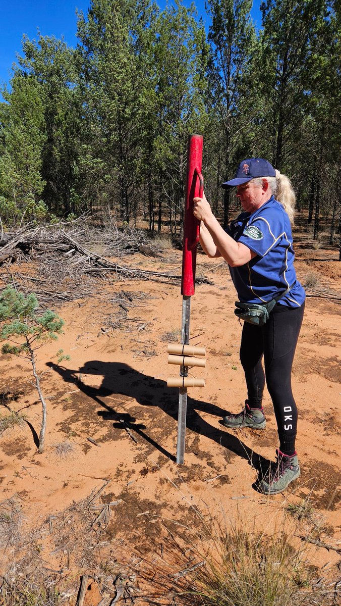 Being creative - multidisciplinary approaches to measuring biodiversity at scale. Improving what we know about nature & what we have across different land tenure. Massive week trialling new tech....we'll let you know where we land 😆 @Di_GleesonNZ @Sydney_Science @Eng_IT_Sydney