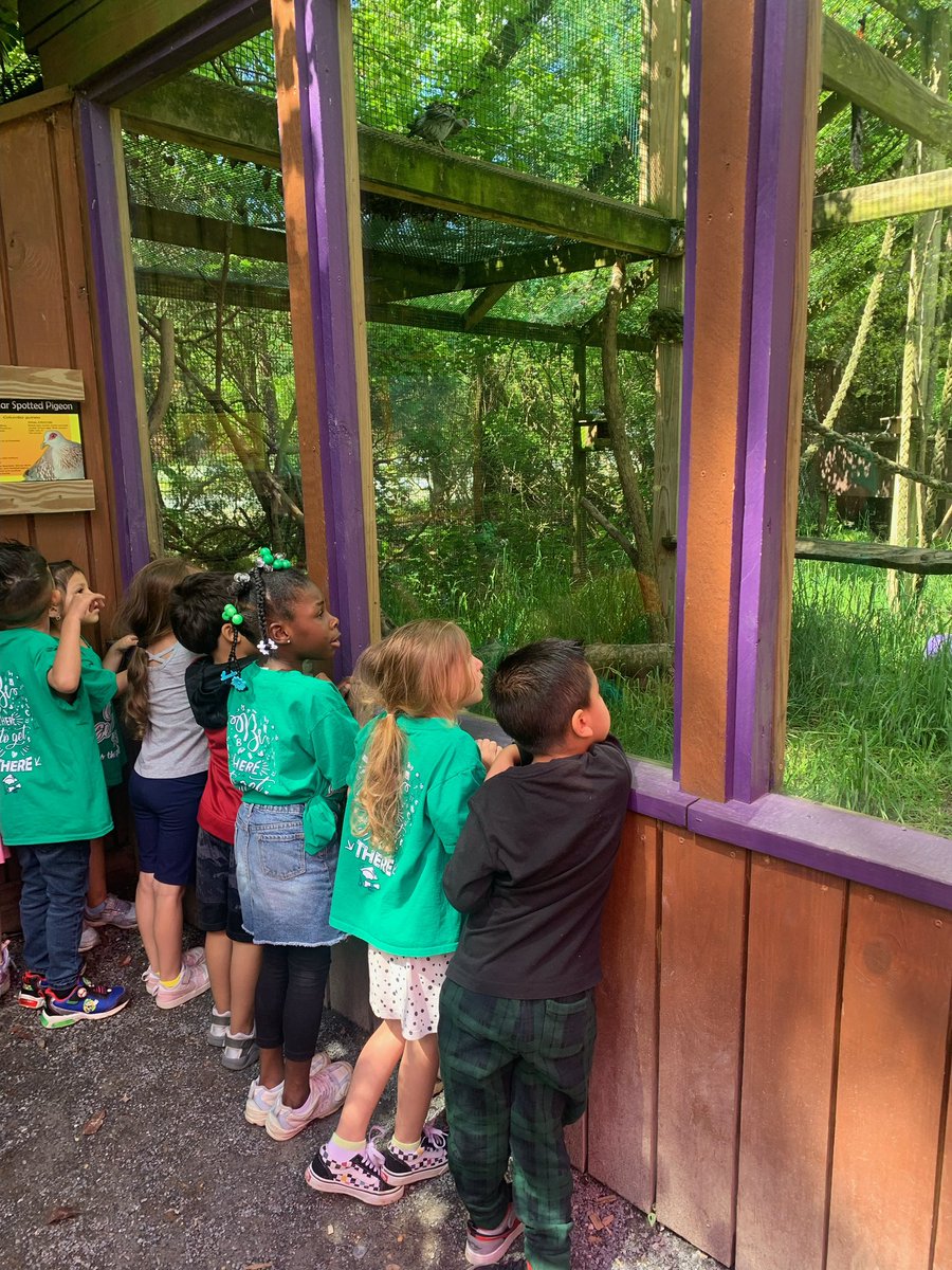 Our Pre-K students had a learning adventure outside the classroom walls at the Catoctin Wildlife Preserve! They had a blast seeing the animals & habitats they've been studying in our CKLA domain come to life. Zoo fun & unforgettable memories! 🌿🦁 @wcpsmd #learnbeyondtheclassroom