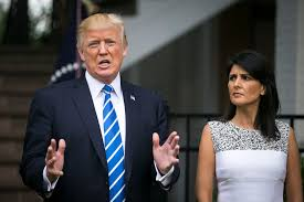 trumpBlewIran's tweet photo. Are You In or Out for Niki Haley to be Trump's VP?  

IN or OUT? https://t.co/63iYl9Ttpt