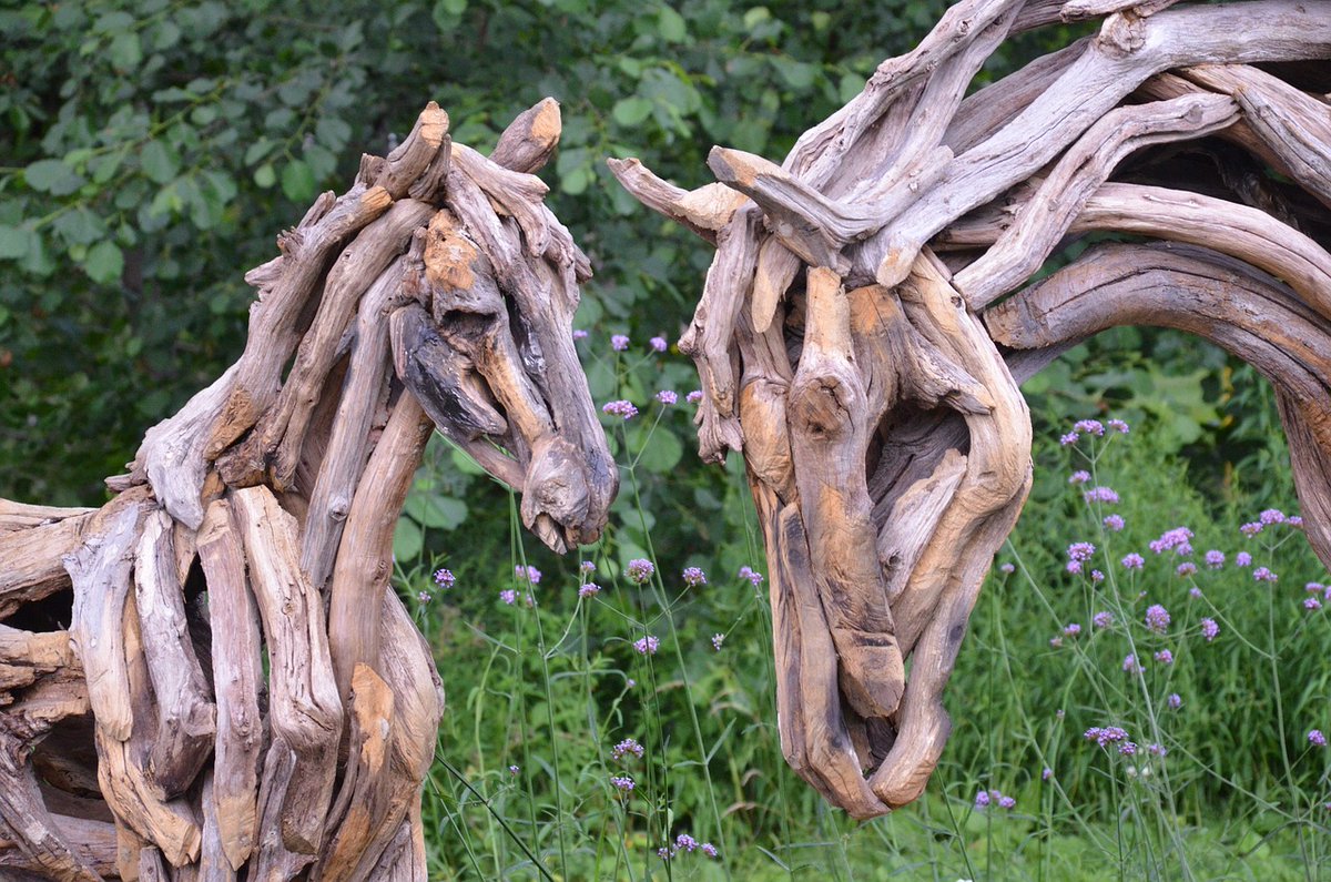 Anyone can make art from anything. It's Driftwood art! This is the work of Heather Jansch Find more art tools and resources at 24artsite.com 
#art  #freelance #24artsite #artist #wood #horse #animal #nature #opencall #artinstallation #photography #inspiration #scuplture