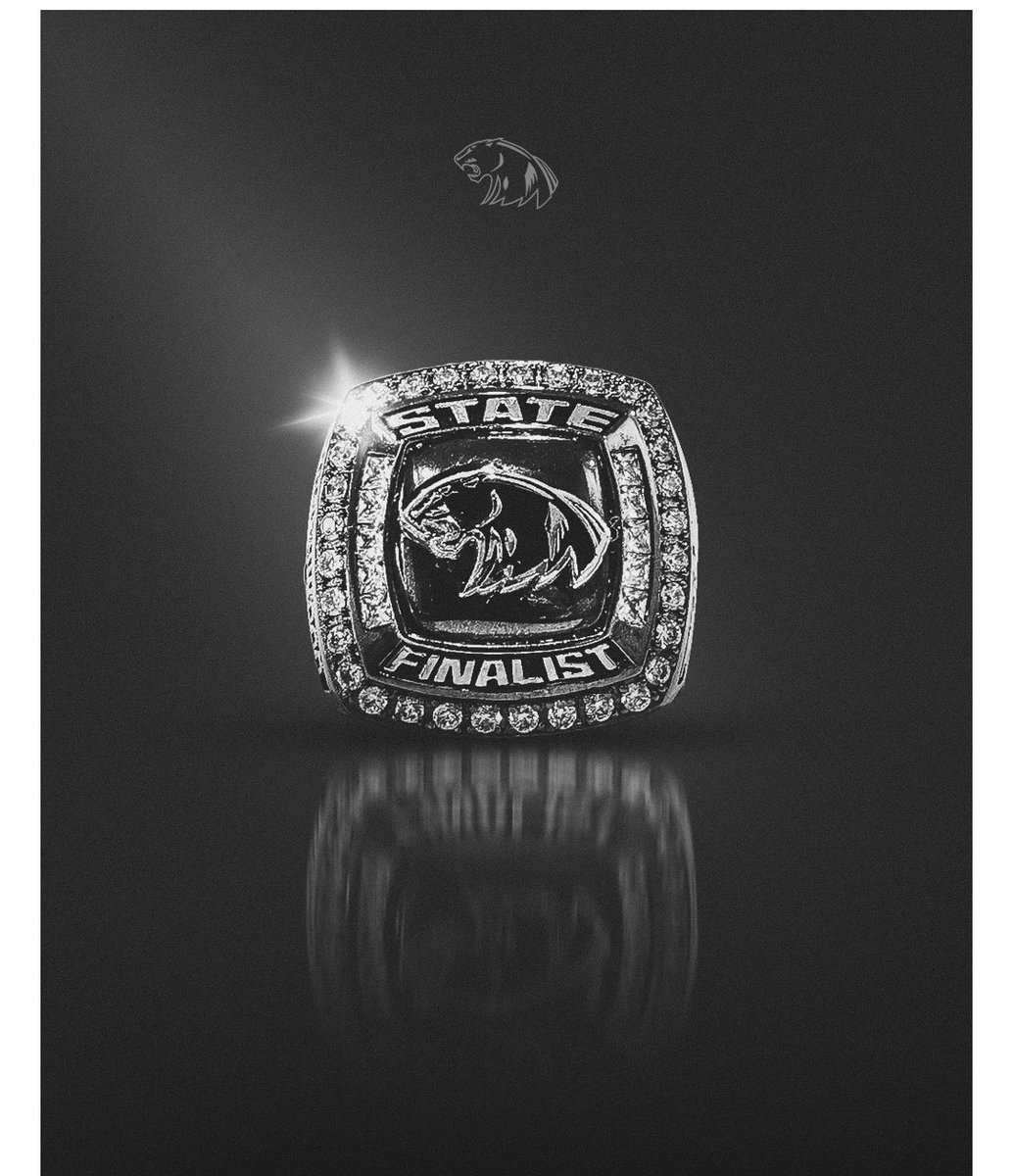 Football players just got their rings , they are really cool
