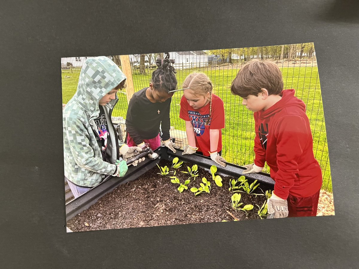 MrsMizesClass's tweet image. April showers bring May PLANTS!! Check out the pictures from our garden adventures this spring!!🌱💚☀️🌧️