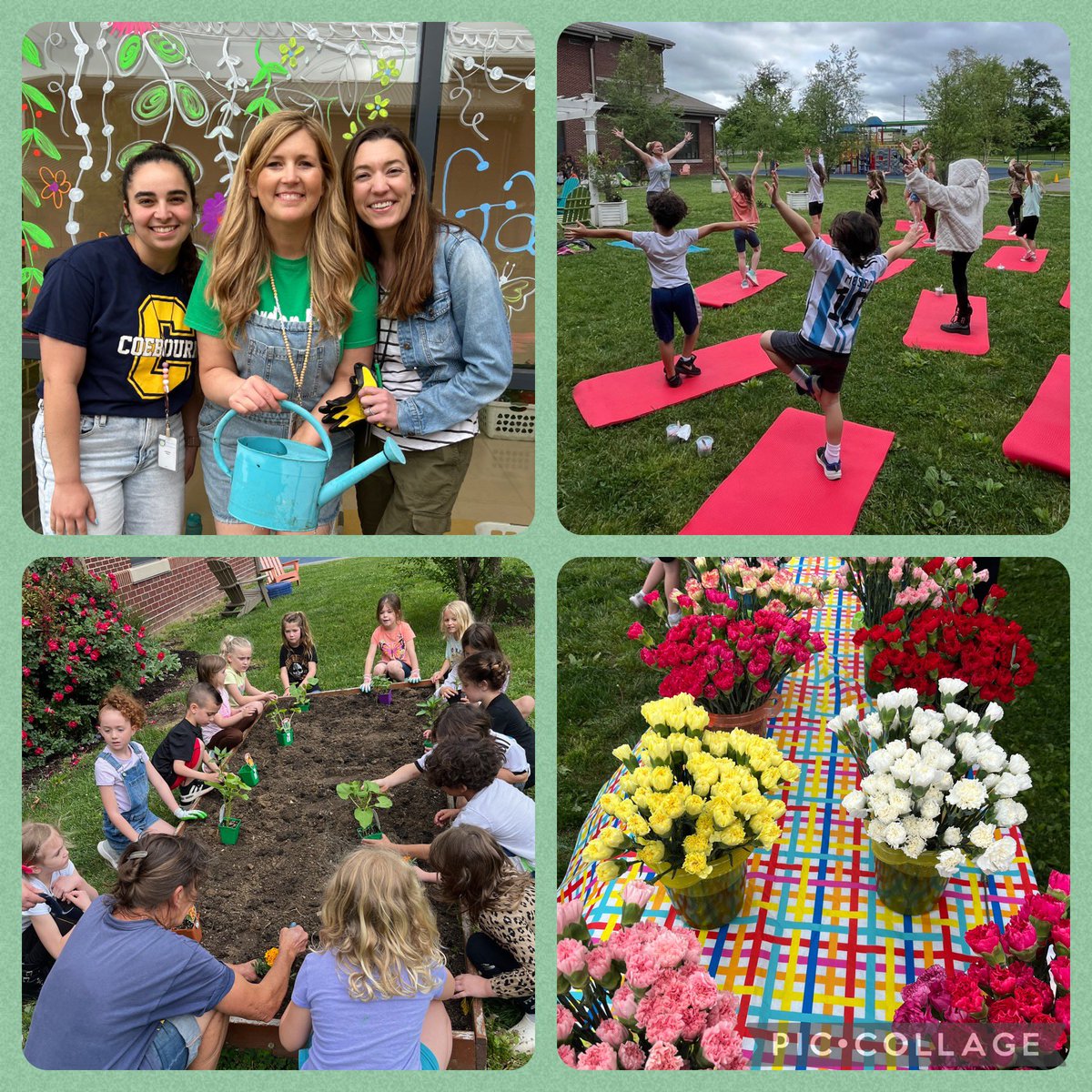 Trish Lydon tweet media