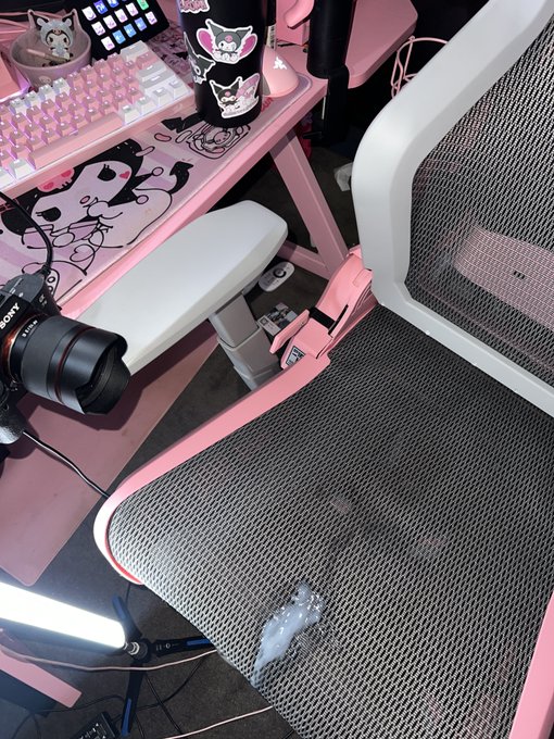 the egirl                         the juice https://t.co/WvZteqar4V