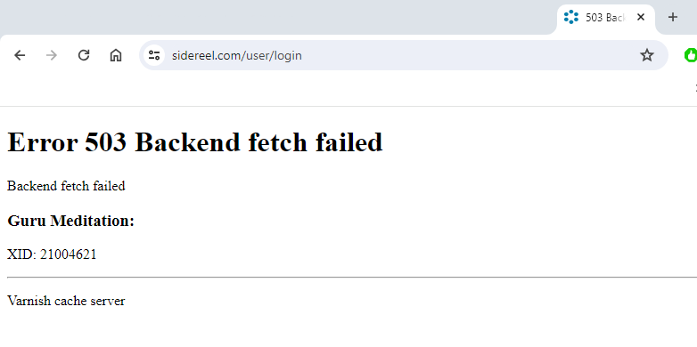 M Amelia Teixeira tweet media