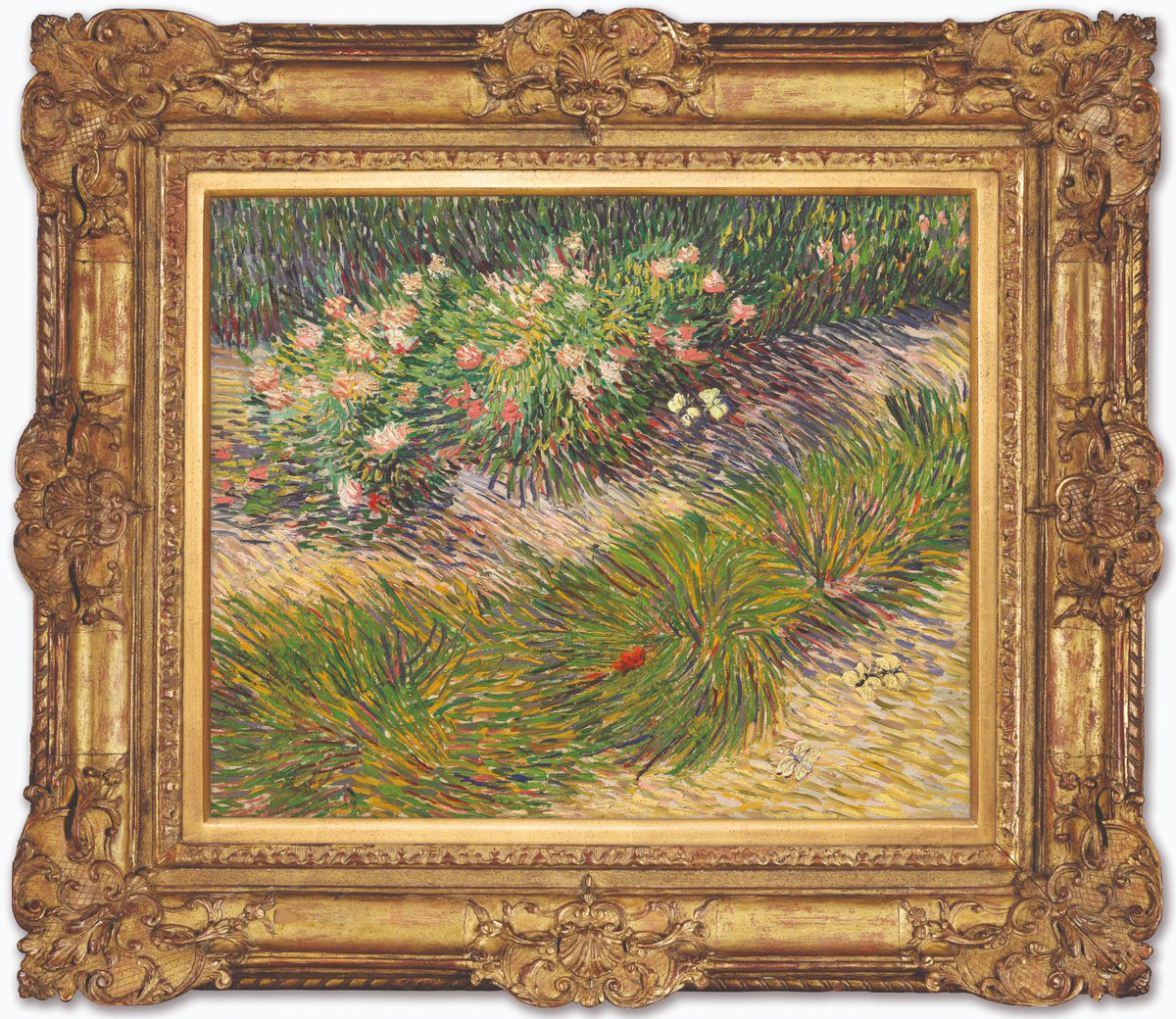 Vincent van Gogh's swirling 'Coin de jardin avec papillons' has sold for $33,185,000 during tonight's #20thCenturyEveningSale