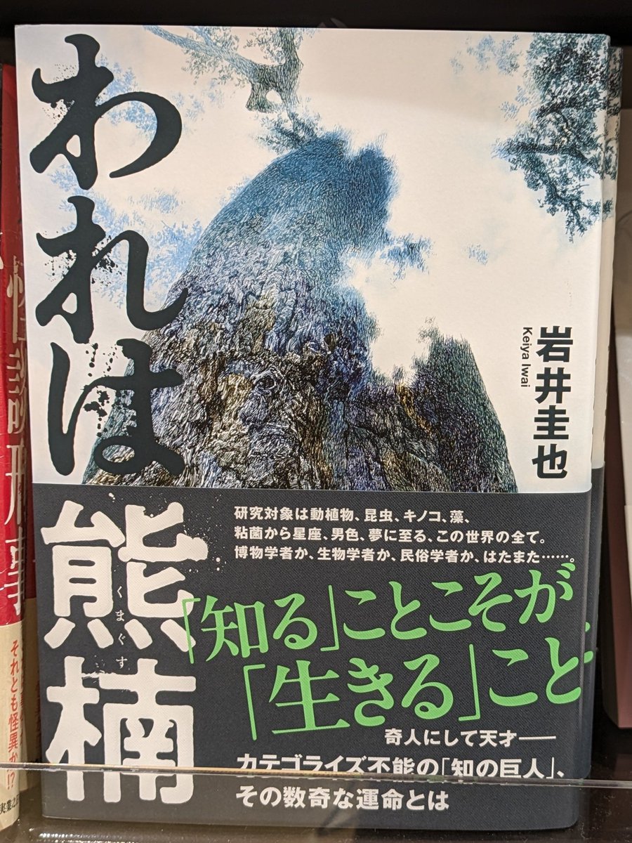 🌱新刊情報🌱 📖『#われは熊楠』 少年・南方熊楠の希みは学問で身を立て、この世の全てを知りつくすこと。父の反対をおしきって海を渡るが、研究はなかなか進まず…。かつてない熊楠像で綴る、エモーショナルな歴史小説。 #岩井圭也 #文藝春秋