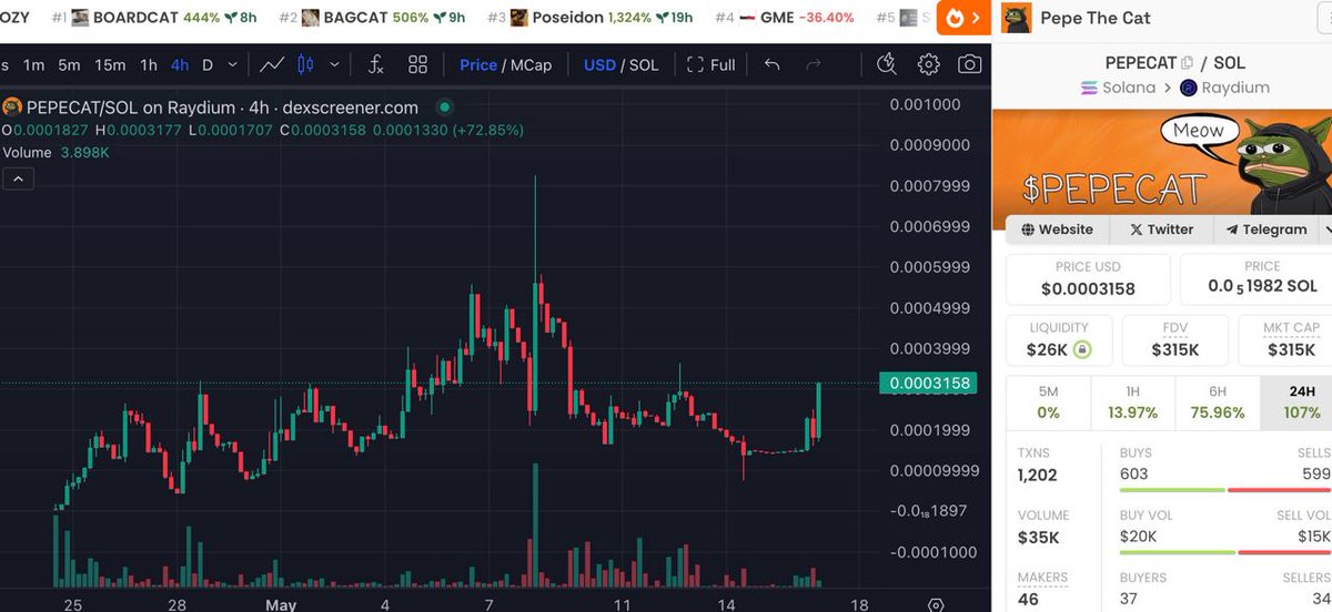 DoxxedCrypto's tweet image. Huge respect to #PEPECAT #PepeTheCat on #Solana. This community never give up 🫡