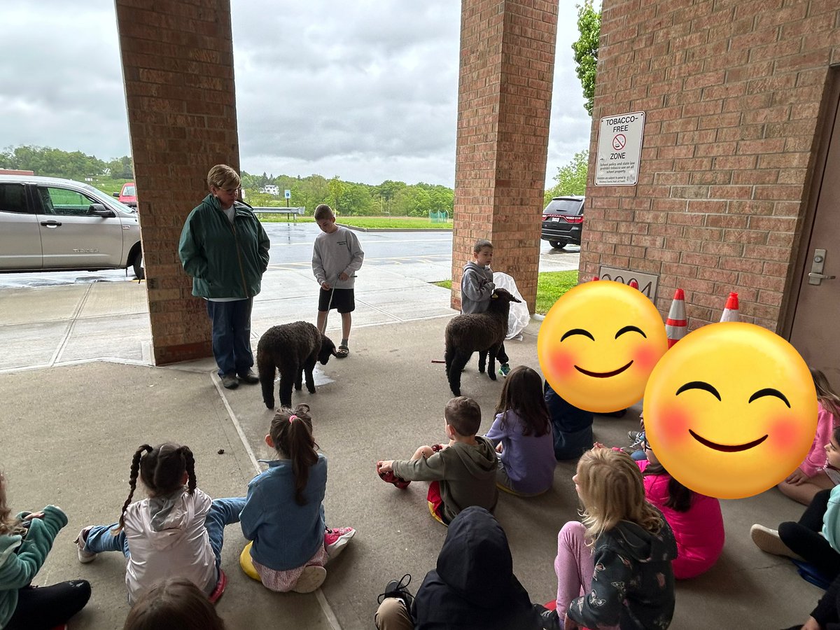 Not all learning happens in the classroom. The boys got to share their knowledge of sheep with their classmates.