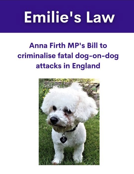 Delighted that my private members bill to make irresponsible owners who allow their dogs to kill other people’s dogs is going to be debated again tomorrow in ⁦@UKParliament⁩. #Emilie’sLaw #dog-on-dog attacks ⁦@ProtectOurPets2⁩