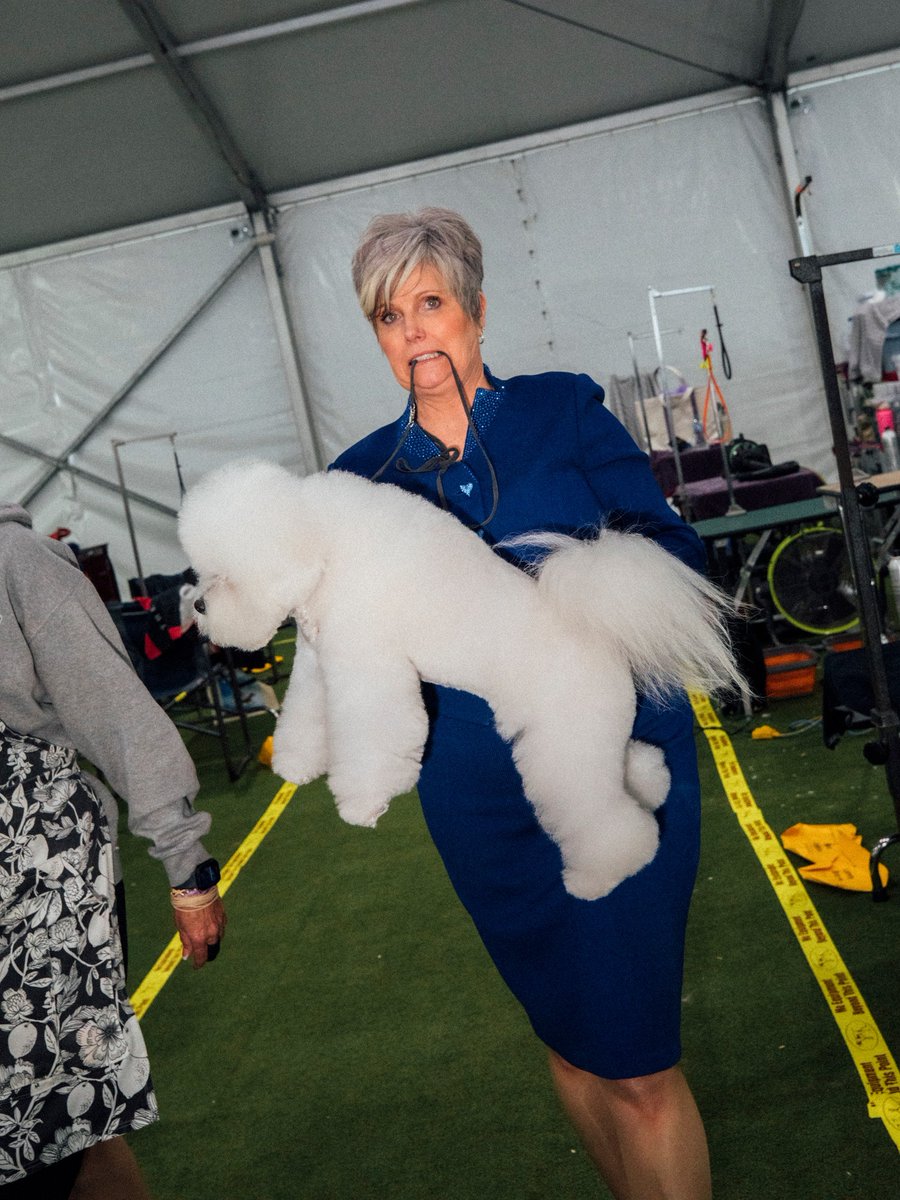 A special glimpse behind the scenes of the 2024 Westminster Dog show vogue.cm/Glgip7k