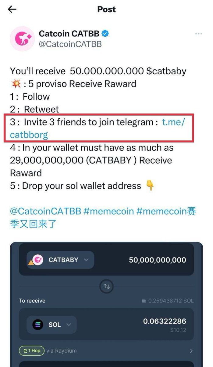 CATBB ORG tweet media