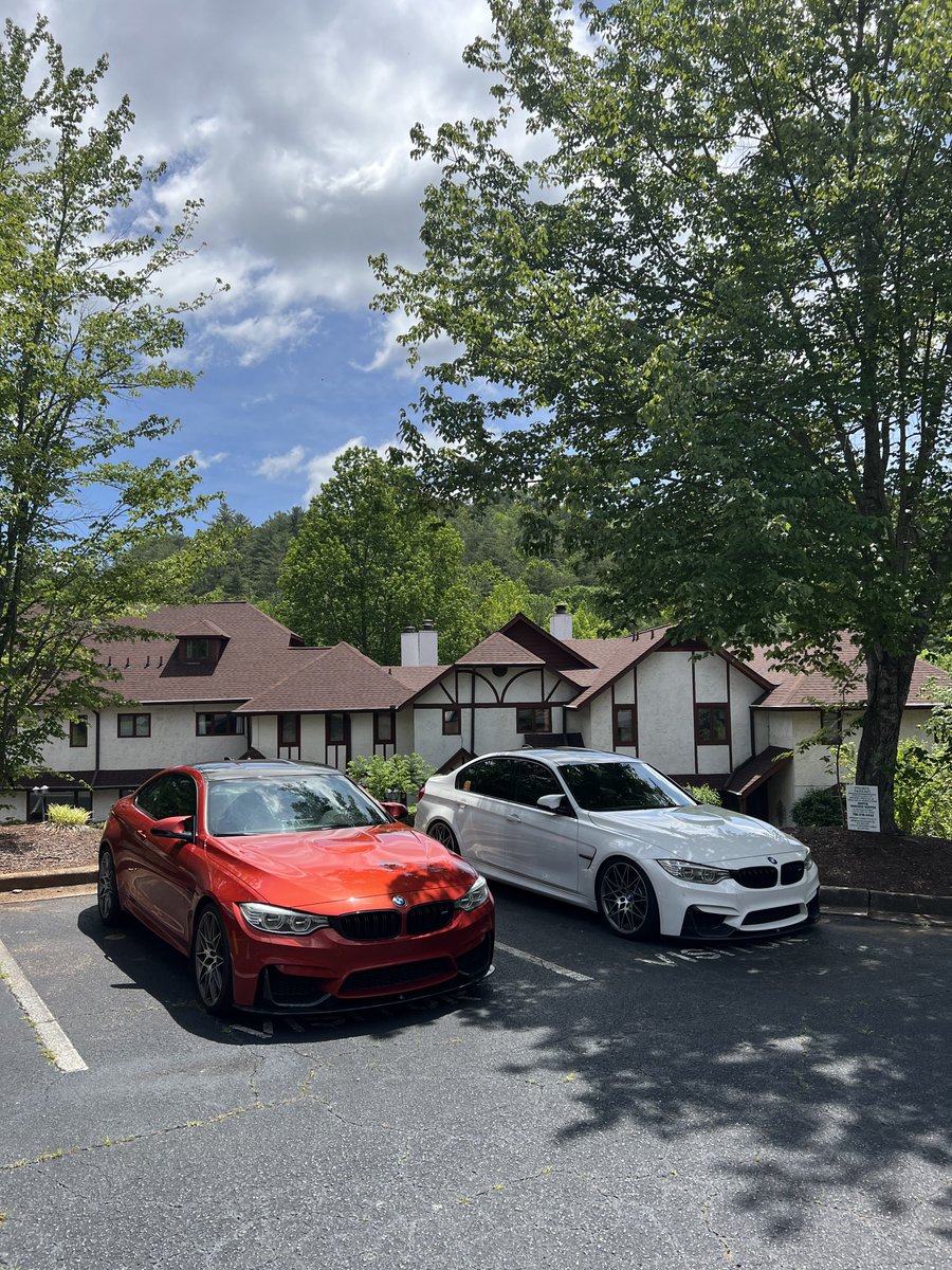 Squeaky McGee tweet media