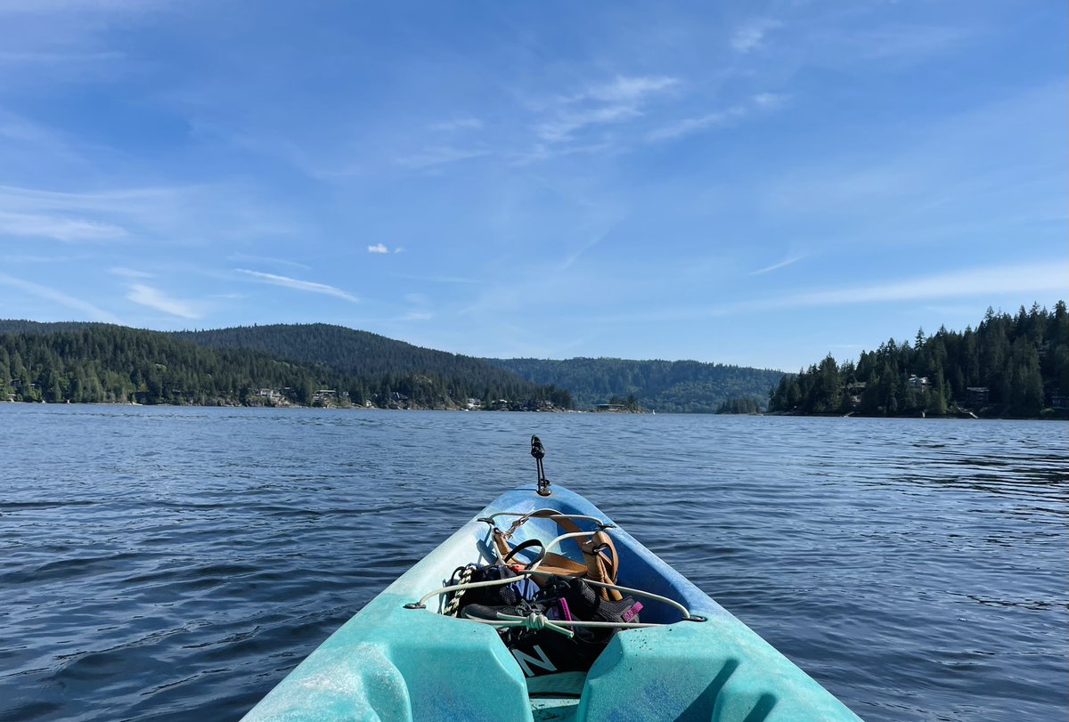 Jessica Holmes tweet media